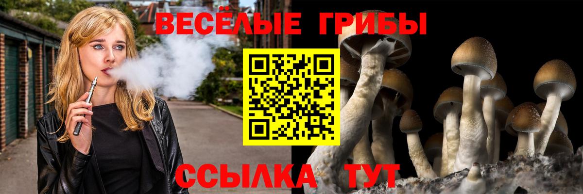 Ялуторовск  Псилоцибиновые грибы мицелий  Вход с VPN 